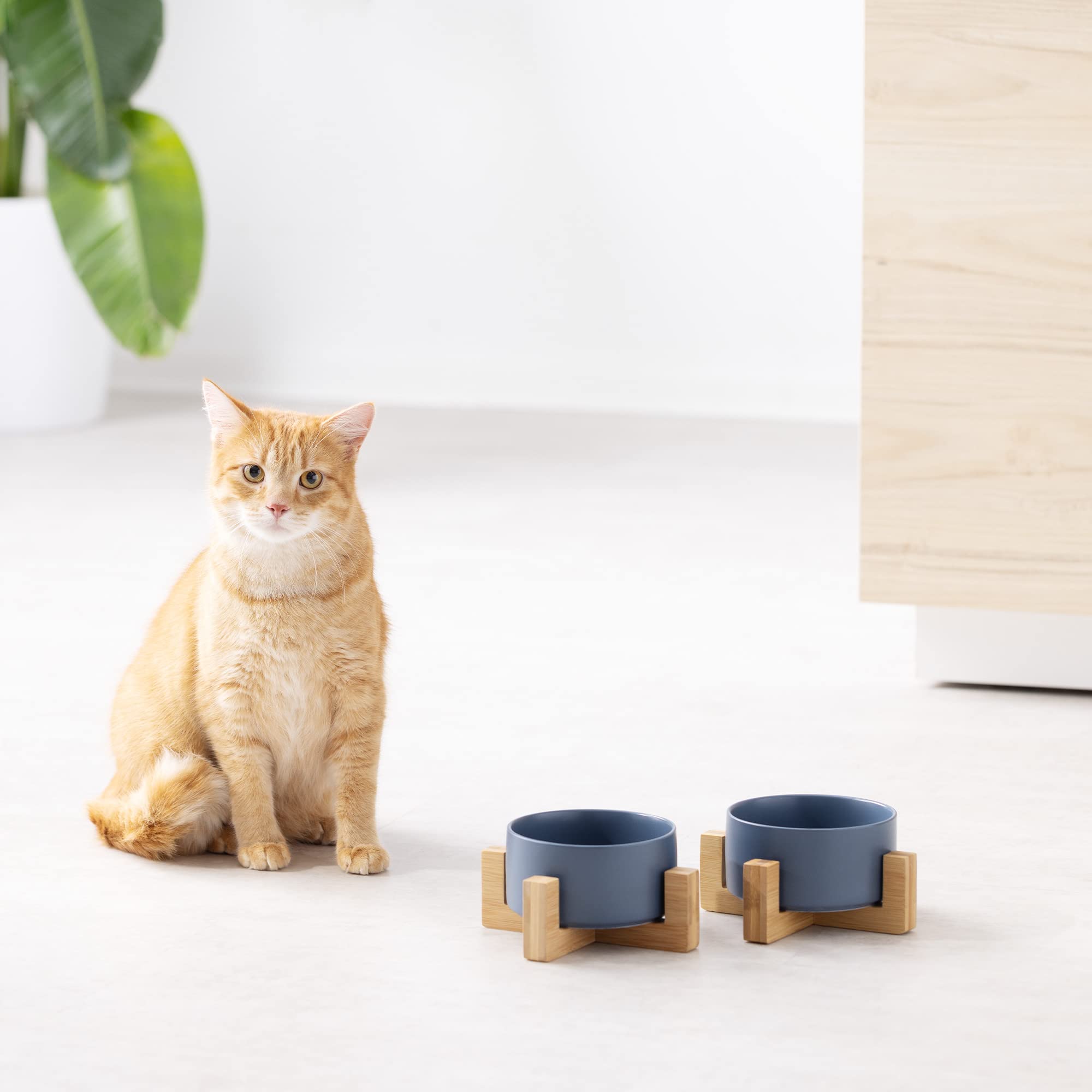 navaris-animals-futternapf-keramik-blau-2er-set-mit-bambus-halter image 2