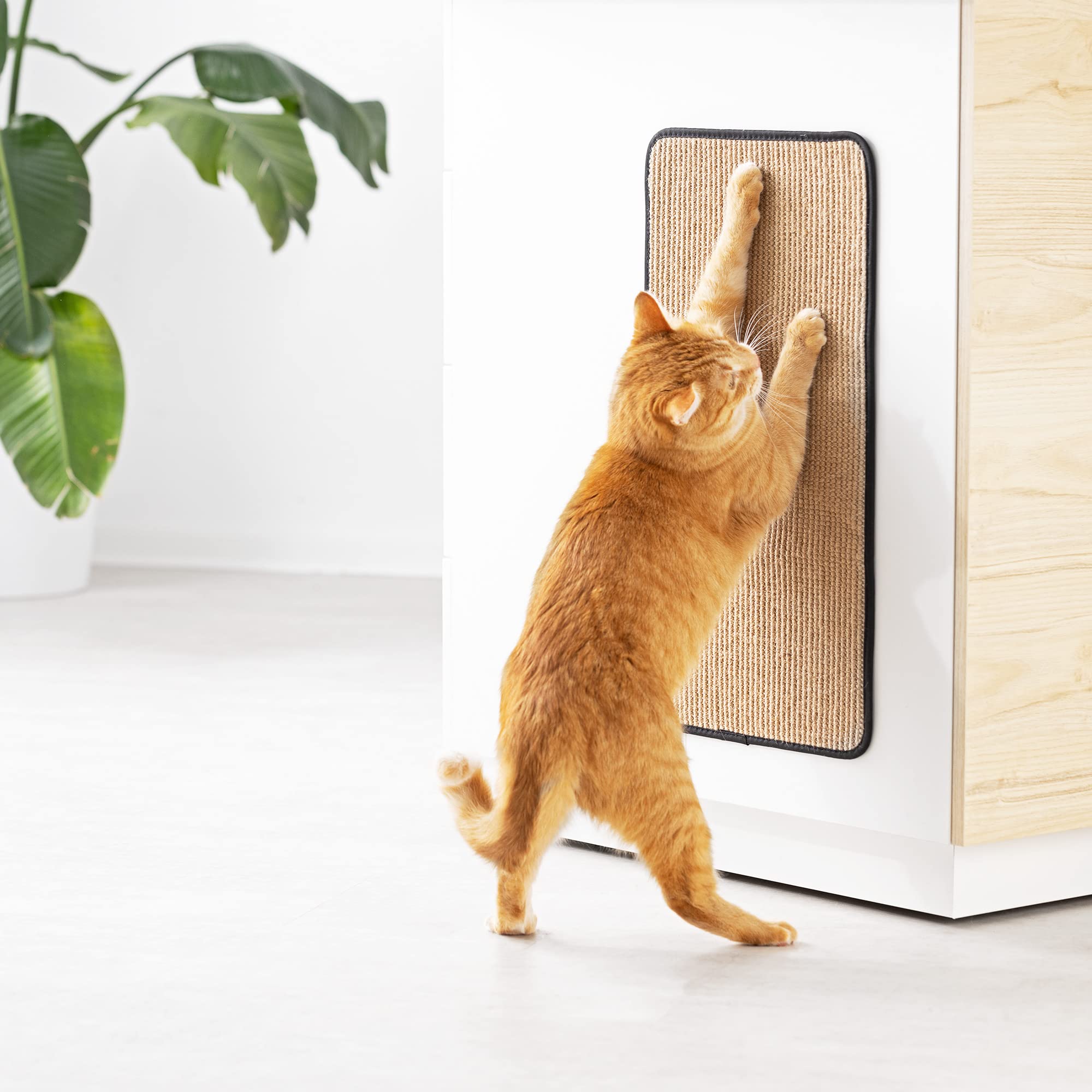 navaris-animals-kratzmatte-katze-sisal-60x32-cm-wand-boden image 2