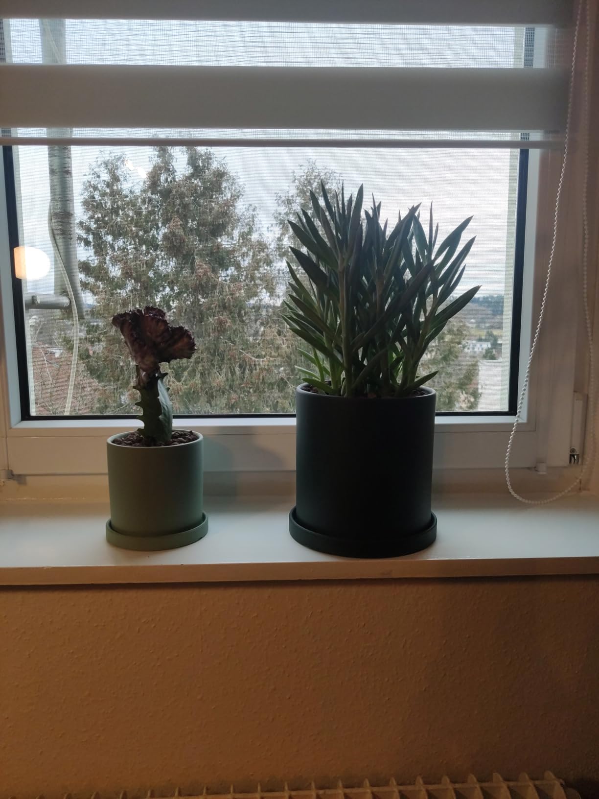 Hübsches Duo