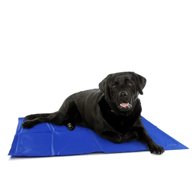 navaris-animals-k-hlmatte-hund-81x96cm-selbstk-hlend image 1