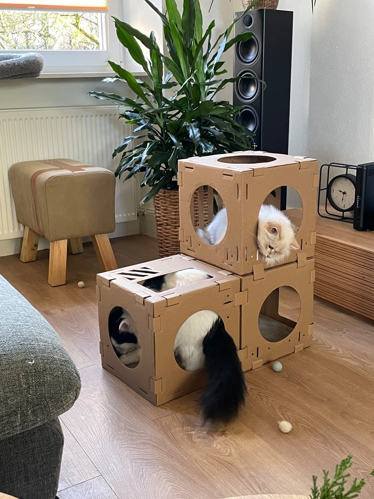 Katze liebt es