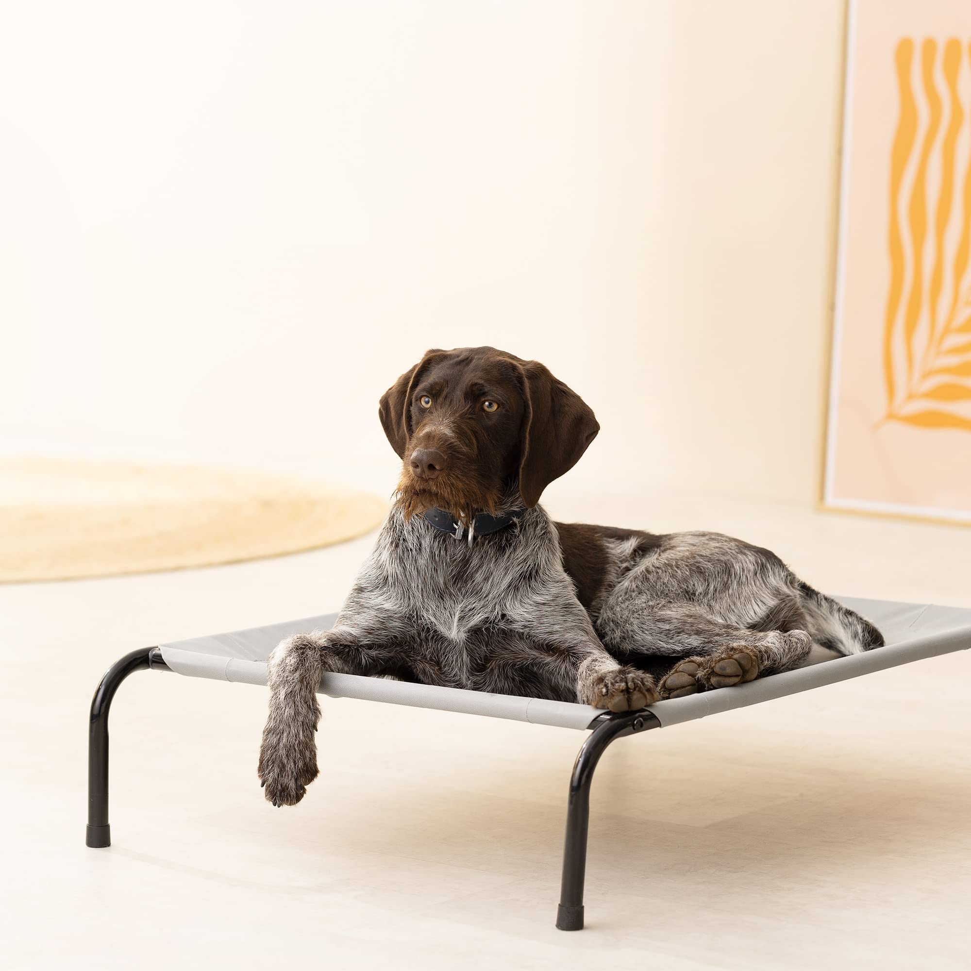 navaris-hundebett-erh-ht-outdoor-liege-91x65x20-cm-25-kg image 2