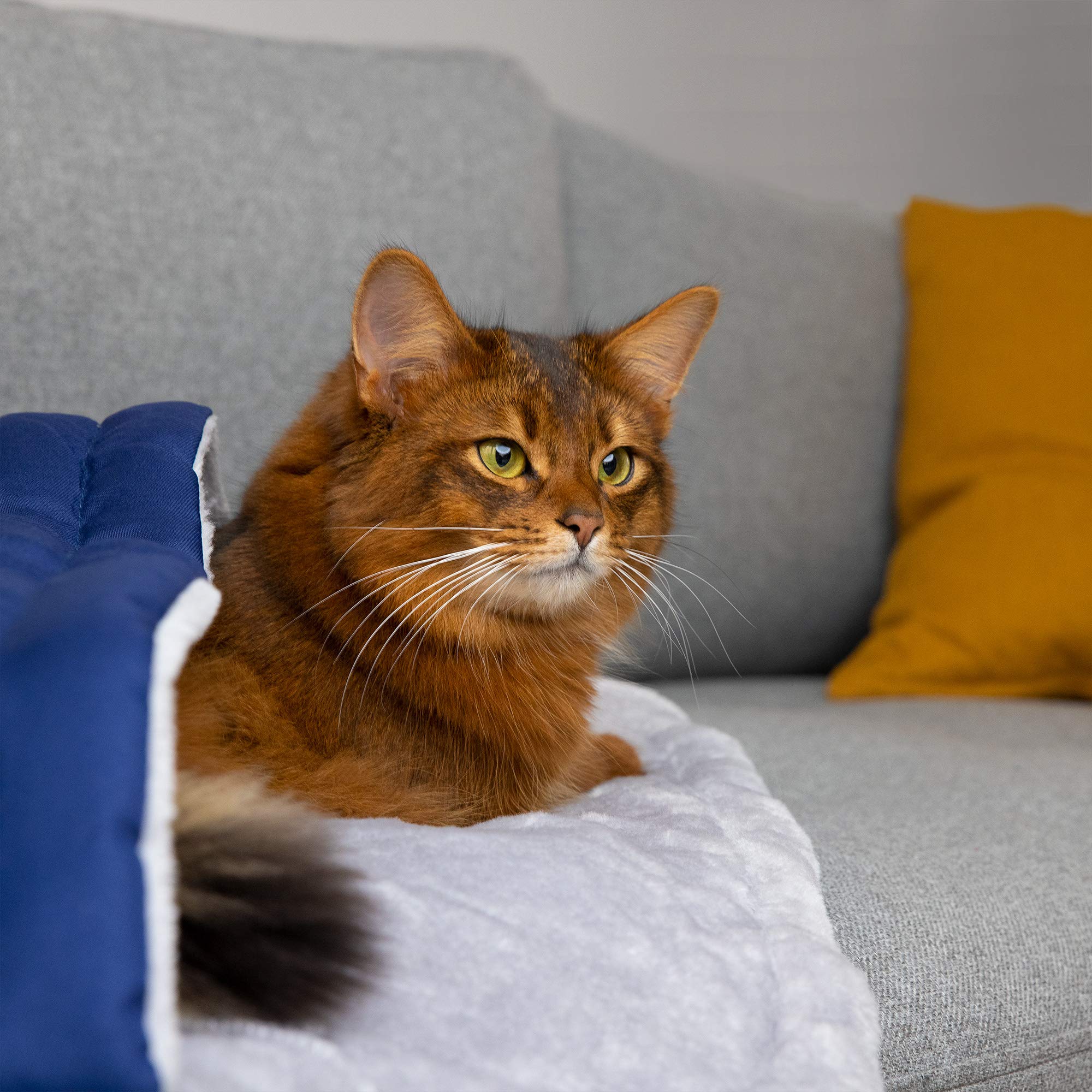navaris-animals-haustierschlafsack-hund-katze-waschbar image 6