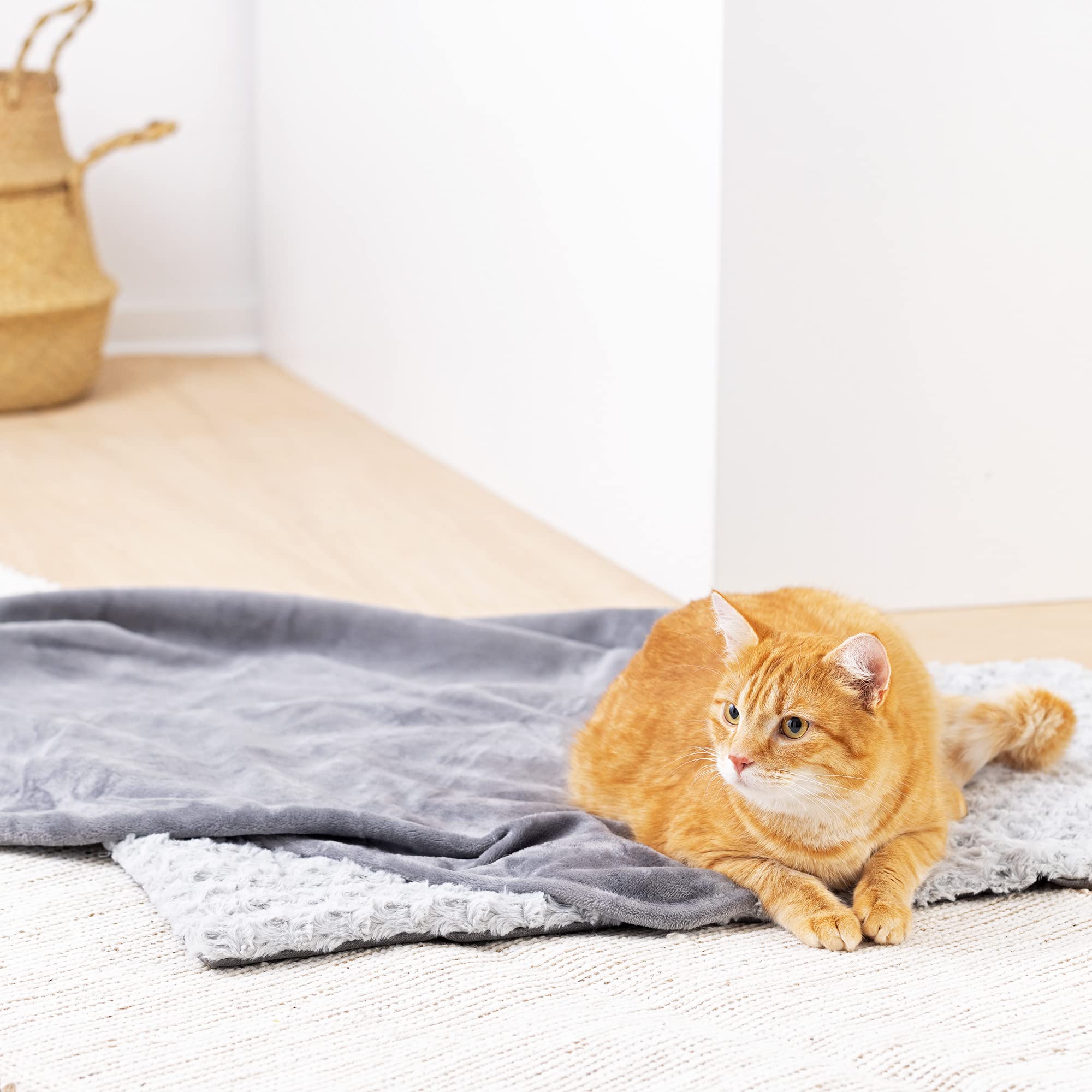 navaris-animals-hundebett-set-decke-110x80-waschbar image 5