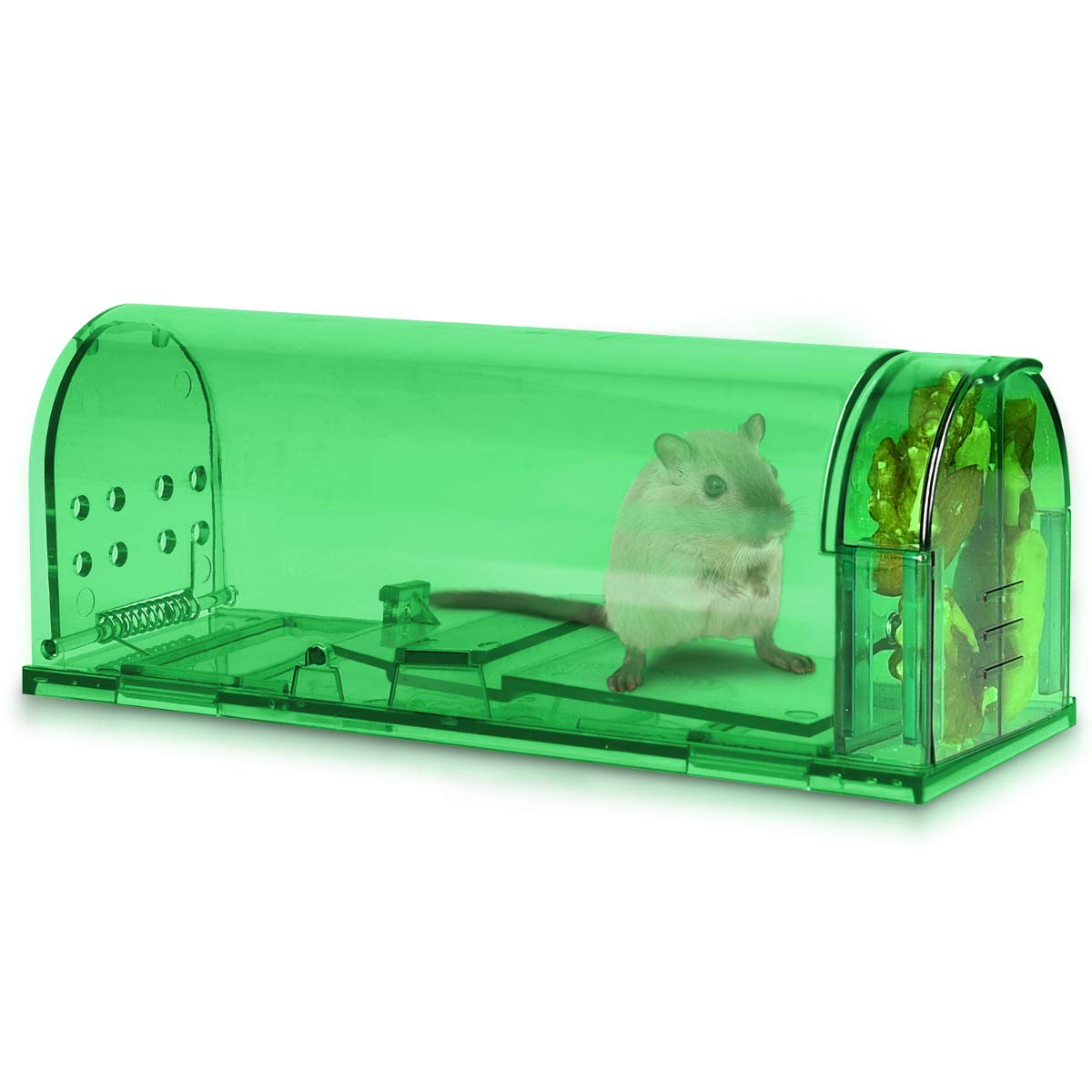 navaris-garden-lebendfalle-m-use-2er-set-gr-n-transparent-17cm image 2