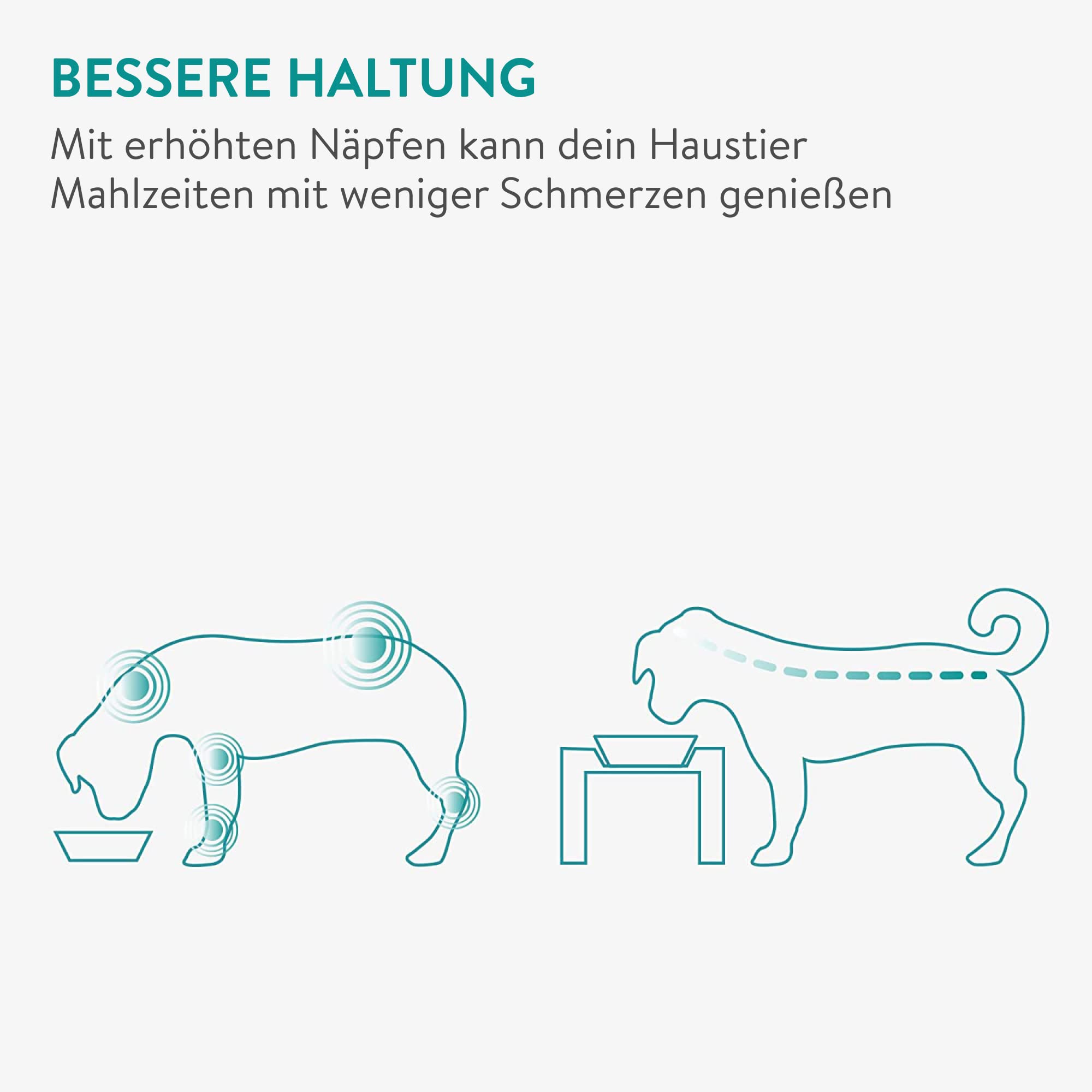 navaris-animals-futterbar-h-henverstellbar-hundenapf-edelstahl-2x-450-ml image 6