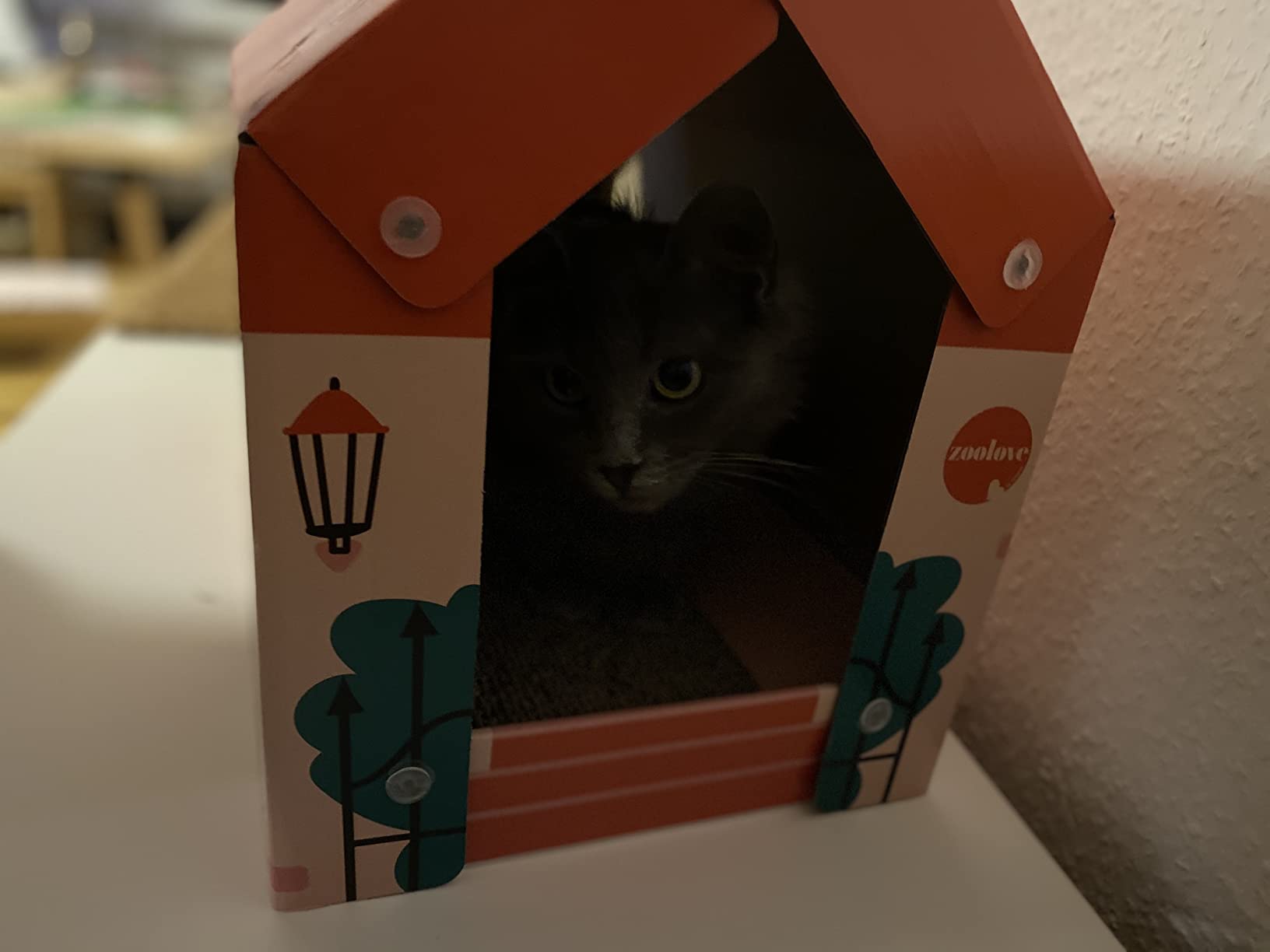 Katze happy