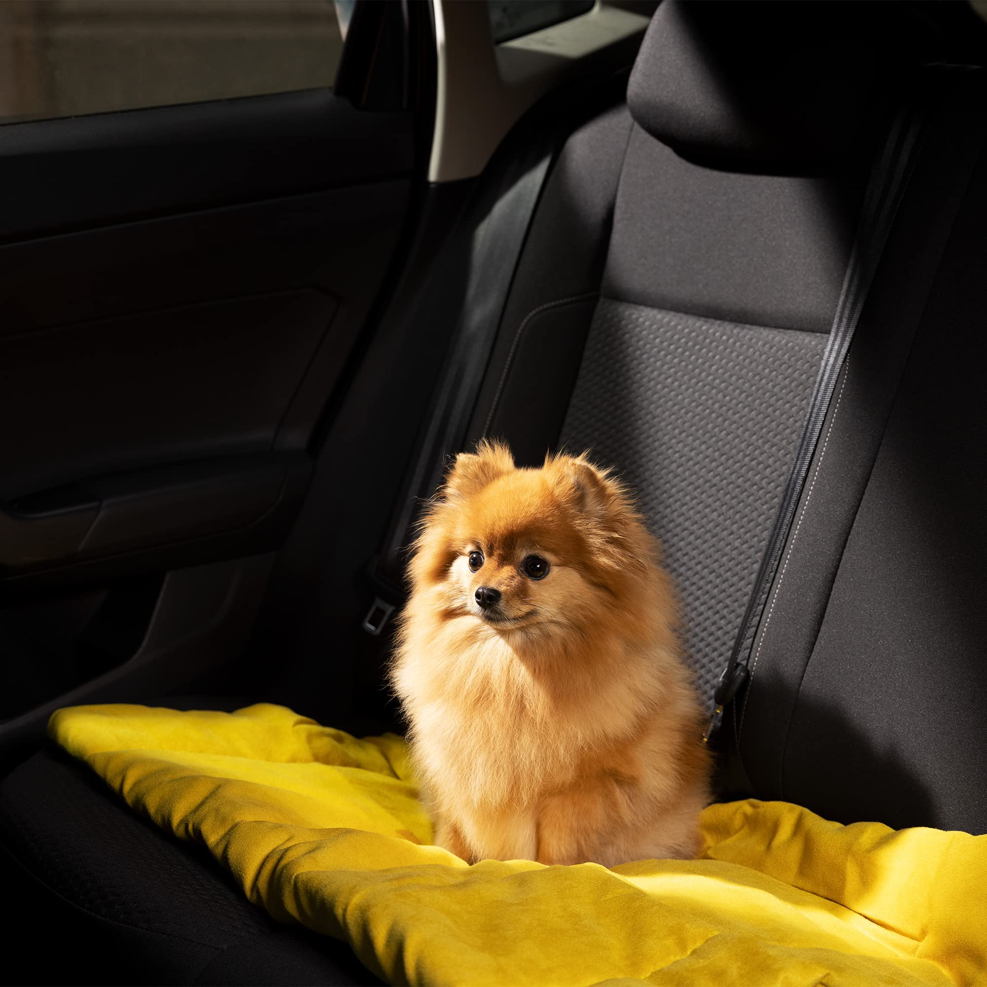 navaris-animals-hunde-reisebett-86-5x65cm-waschbar-polyester image 3