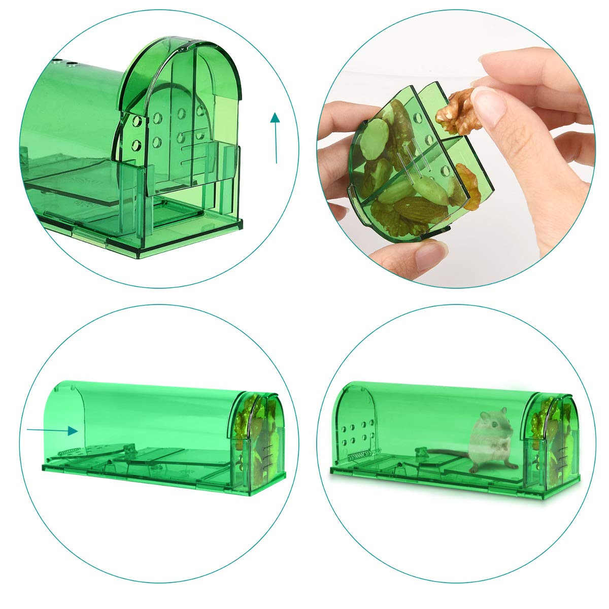 navaris-garden-lebendfalle-m-use-2er-set-gr-n-transparent-17cm image 3