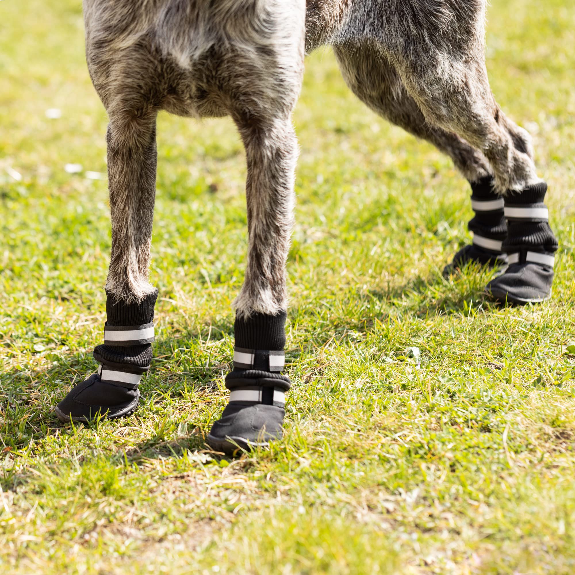 navaris-animals-pfotenschutz-hundeschuhe-gr-m-4er-set image 5