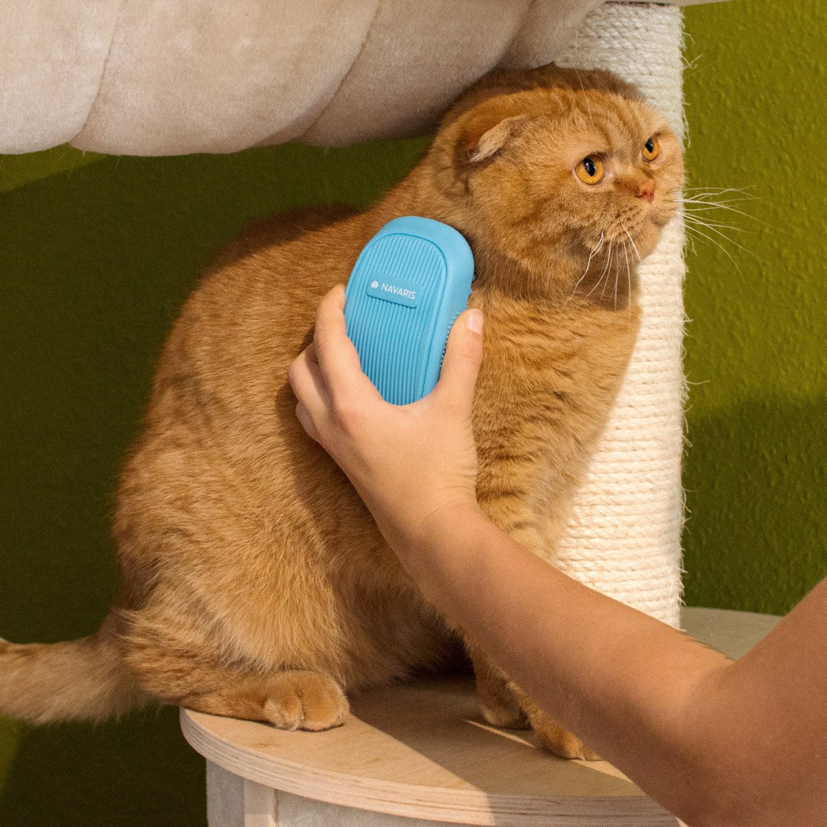 navaris-animals-fellb-rste-hund-katze-blau-massage image 2