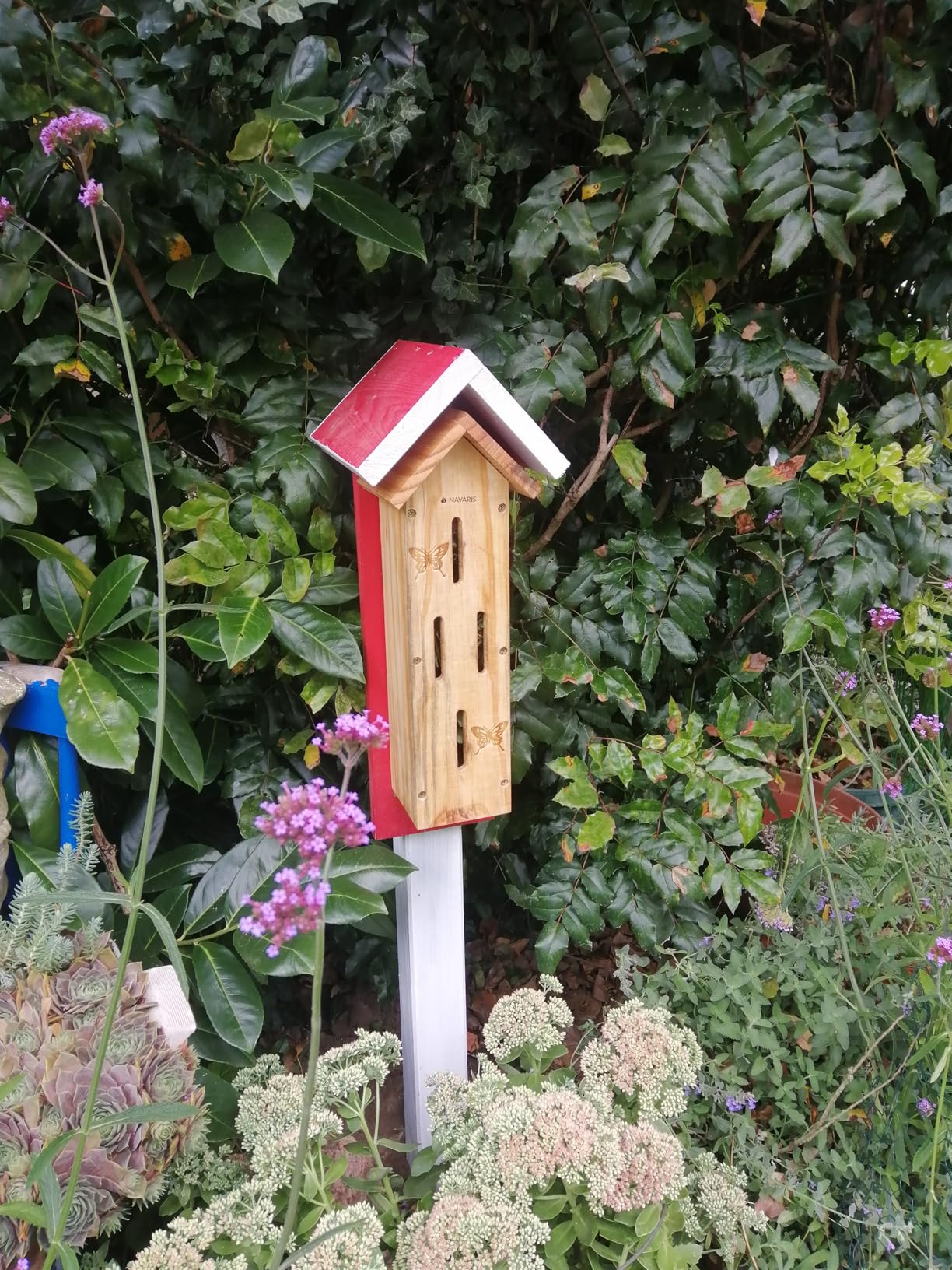 Hübsch im Garten