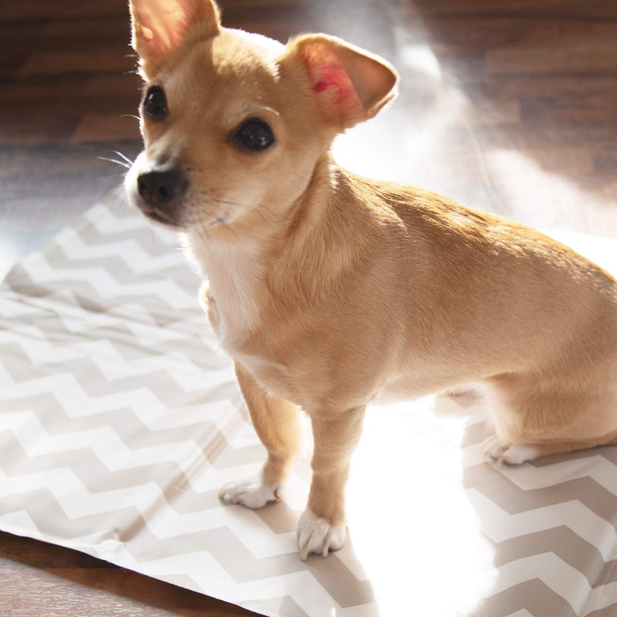 navaris-animals-k-hlmatte-40-x-50-cm-selbstk-hlend-kleine-hunde image 2