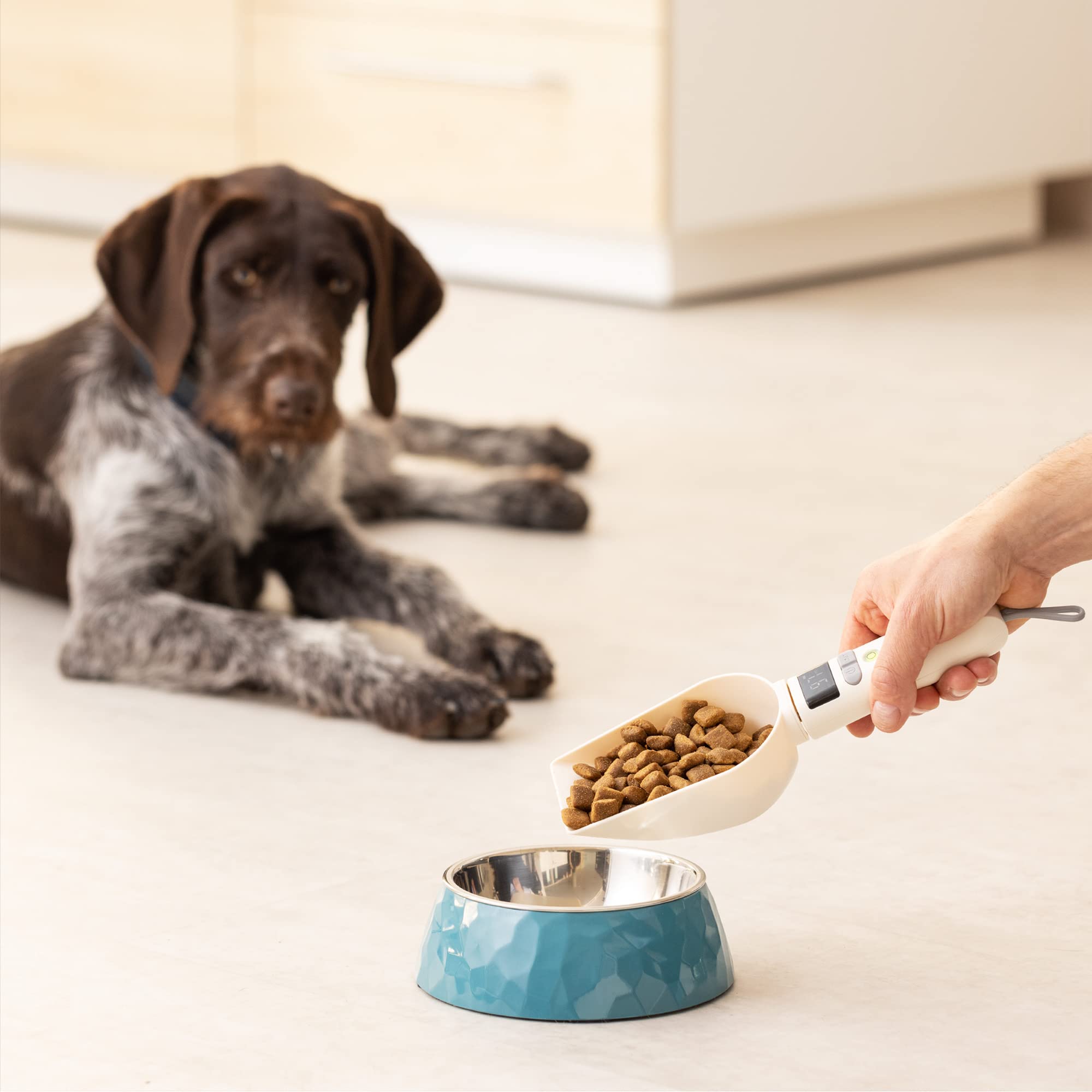 navaris-animals-messschaufel-mit-waage-250-ml-usb image 8