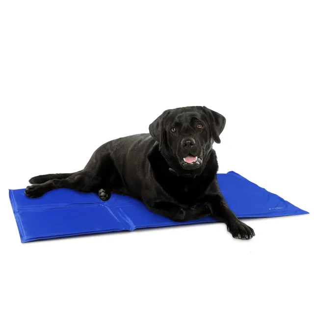 navaris-animals-k-hlmatte-hund-katze-50x90cm-gel-selbstk-hlend image 1
