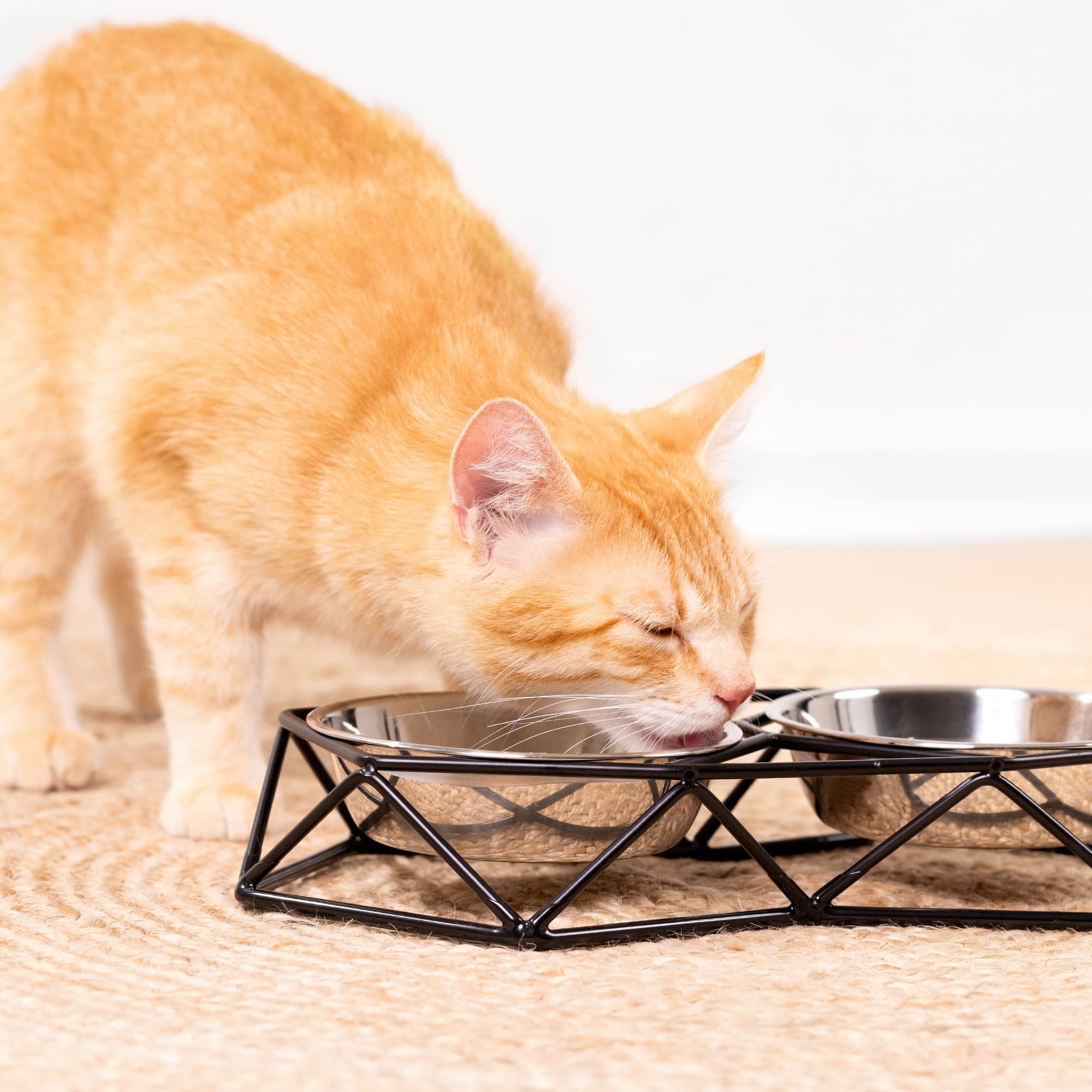 navaris-animals-futternapf-katze-edelstahl-2er-mit-halter image 6