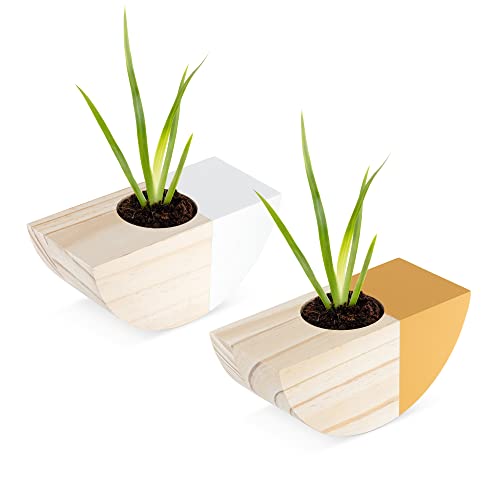 navaris-garden-wandvasen-holz-2er-set-wei-orange-6-cm image 8