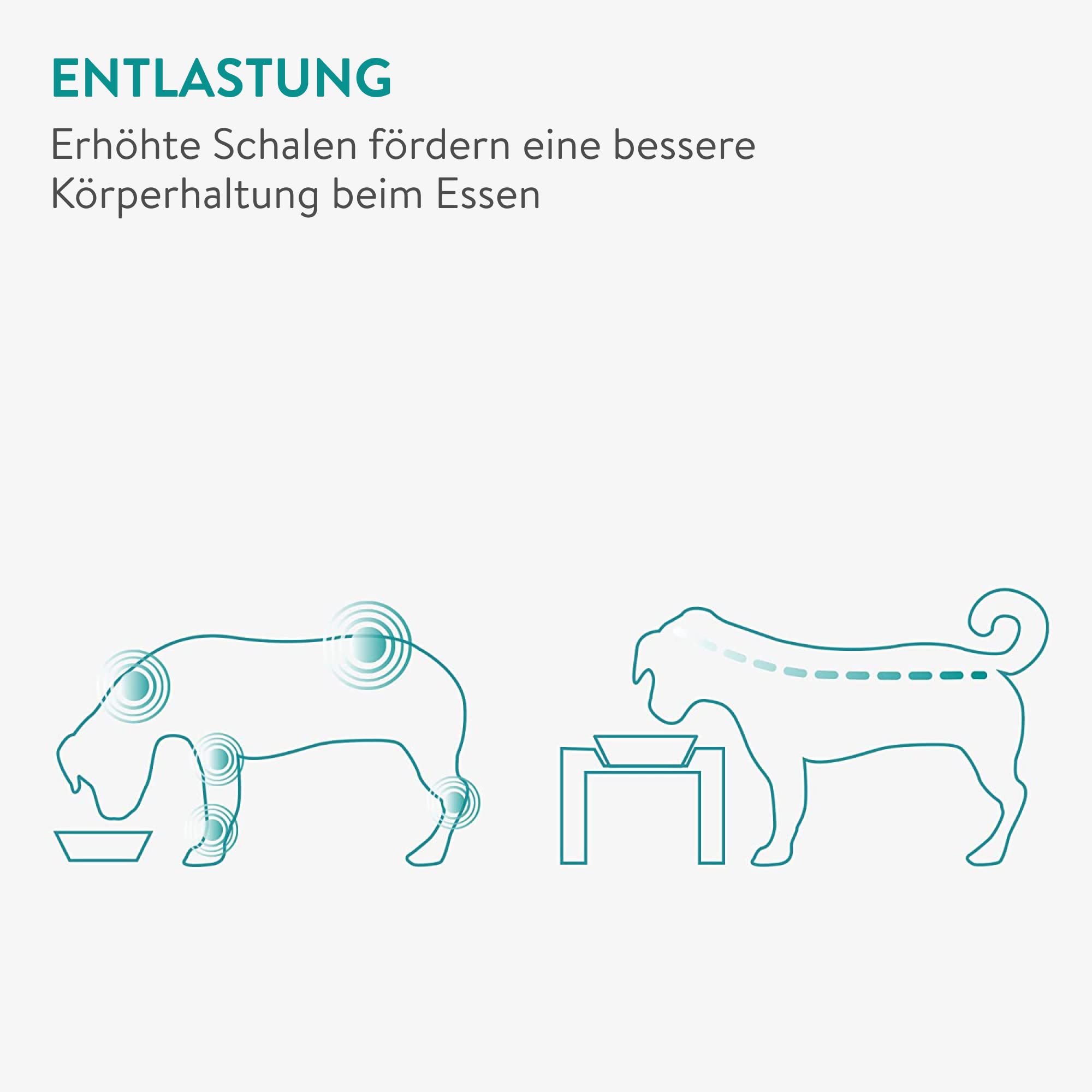 navaris-animals-fressnapf-keramik-2x330ml-erh-ht-schwarz image 6