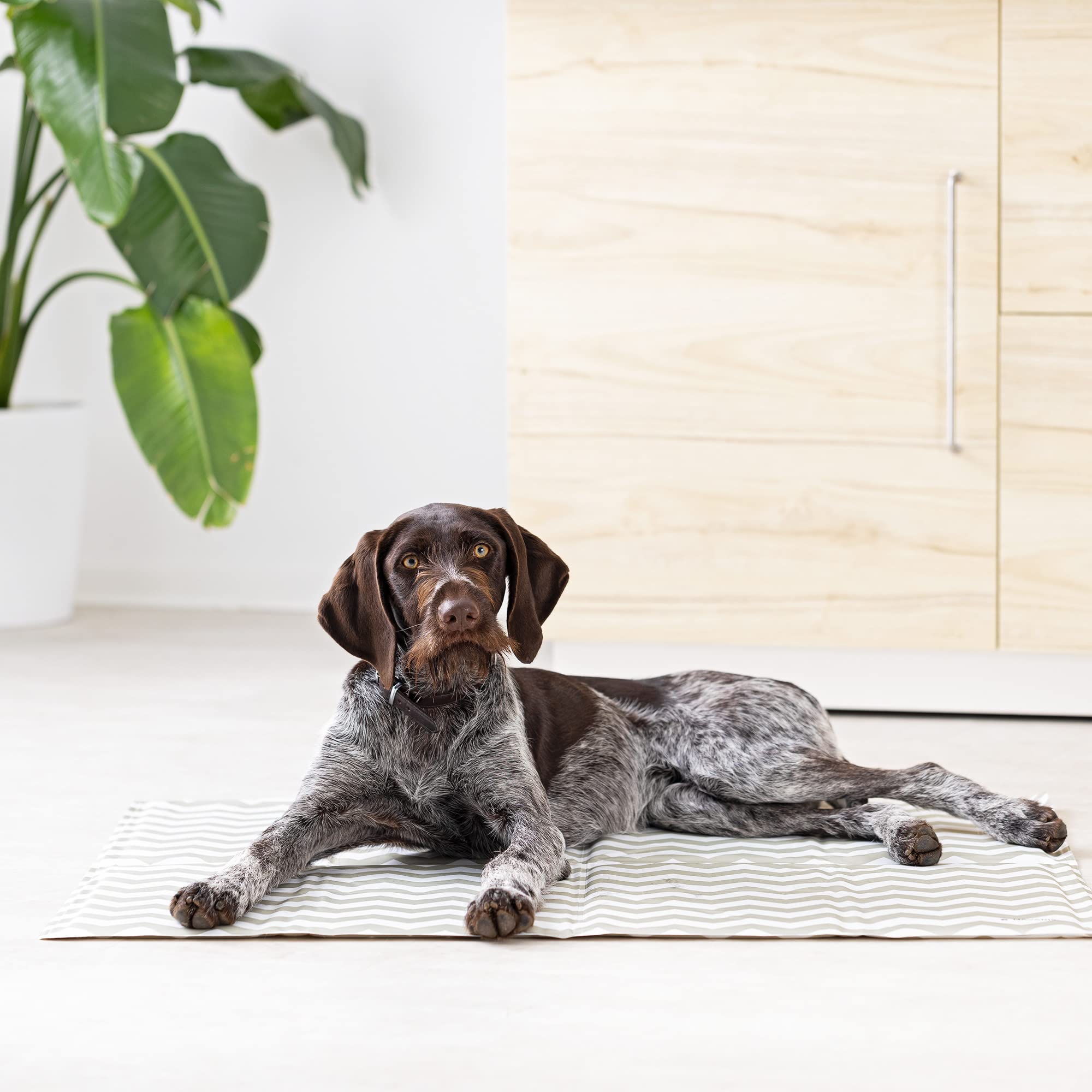 navaris-animals-k-hlmatte-81-x-96-cm-xxl-selbstk-hlend-hunde image 2