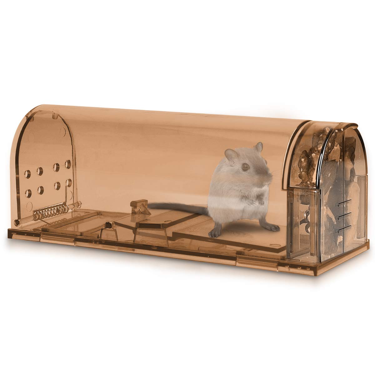 navaris-garden-lebendfalle-m-use-4er-set-braun-transparent-17cm image 2