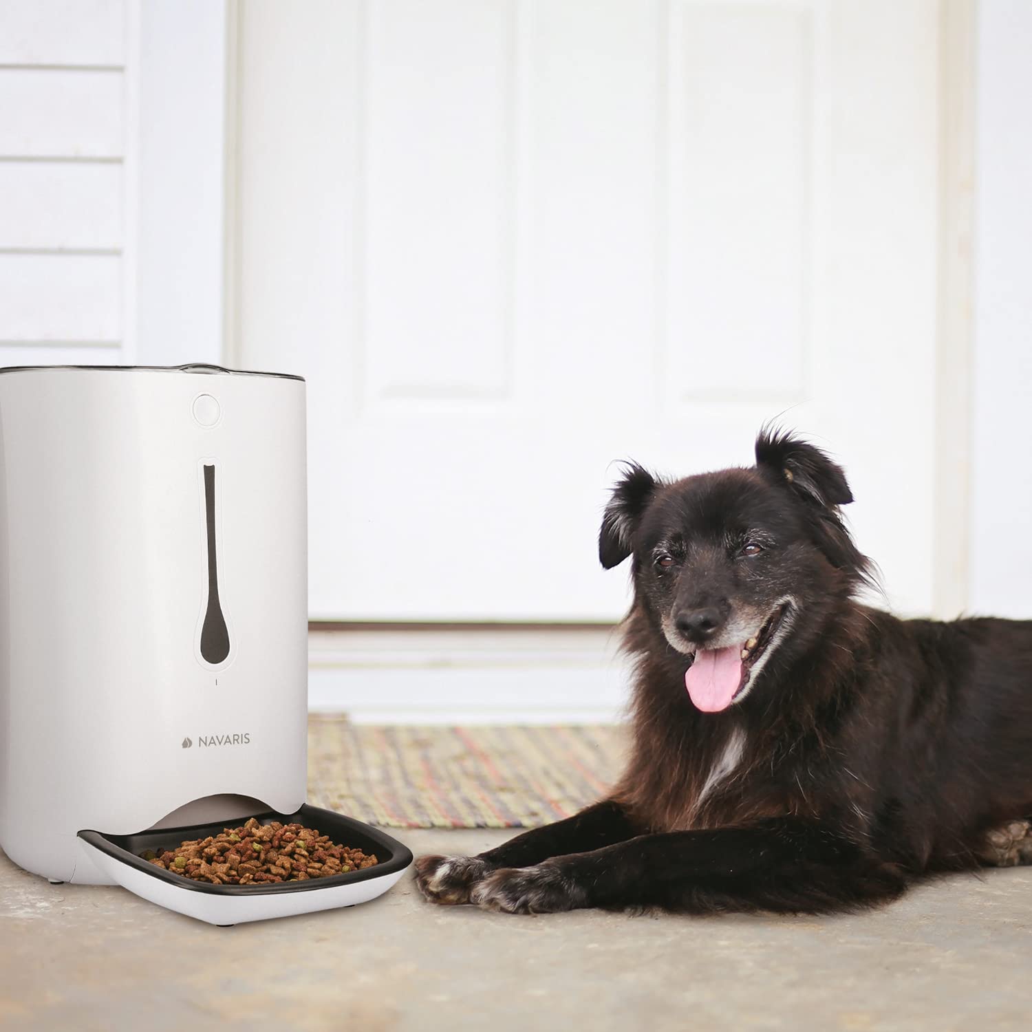 navaris-futterautomat-6l-timer-futterspender-display-katze-hund image 2