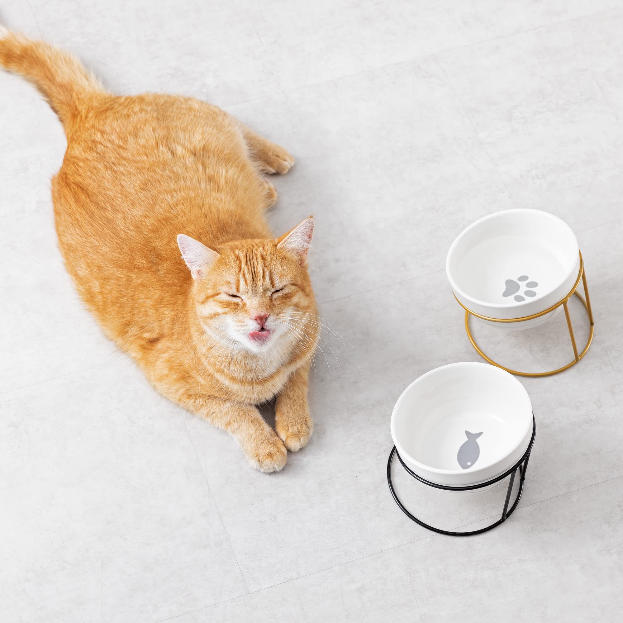 navaris-animals-fressnapf-keramik-2x-erh-ht-mit-st-nder-gold-schwarz image 2