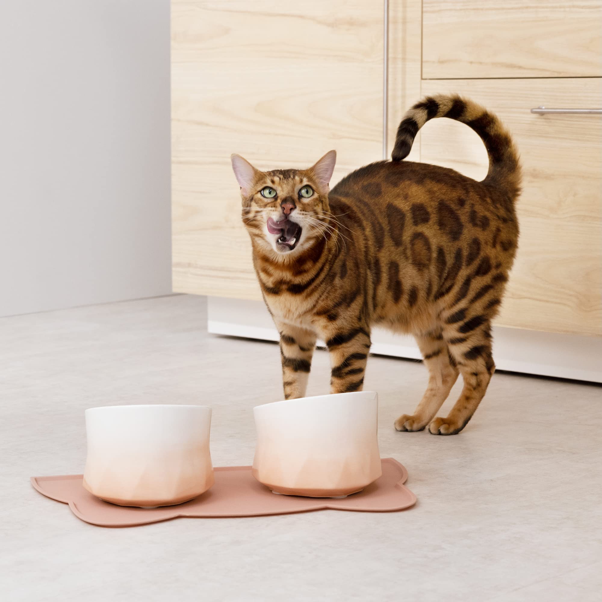 navaris-animals-futternapf-set-keramik-2x-250ml-mit-matte image 2