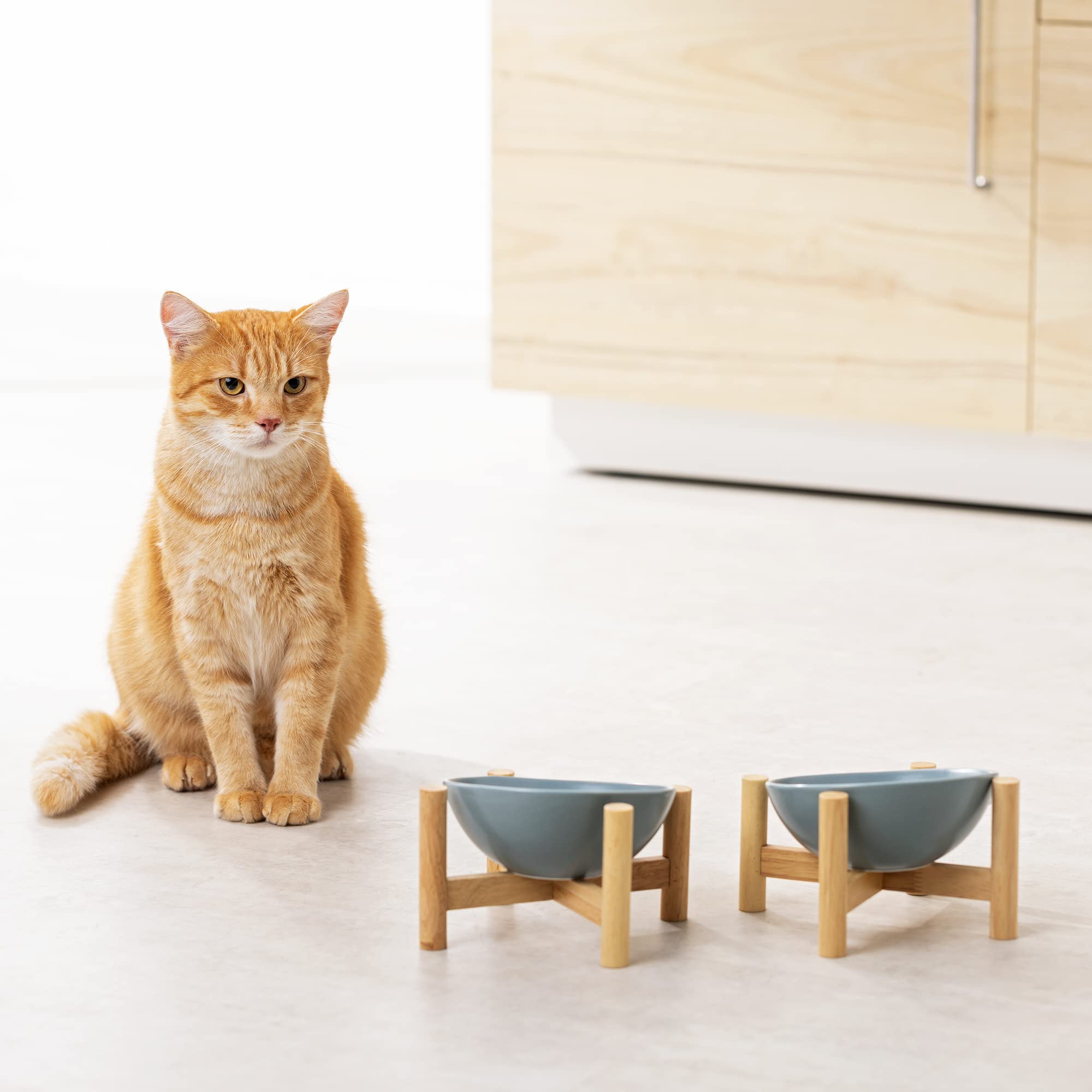 navaris-animals-futternapf-katze-keramik-2er-set-300-ml-holz image 2