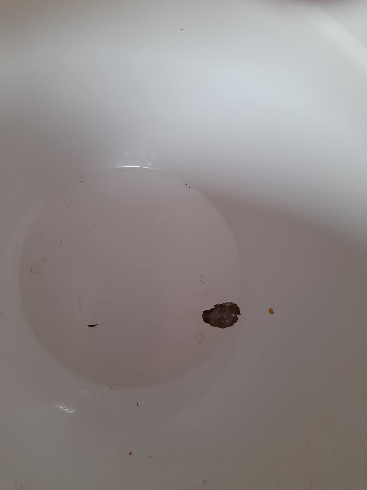 Schöne Schüsseln