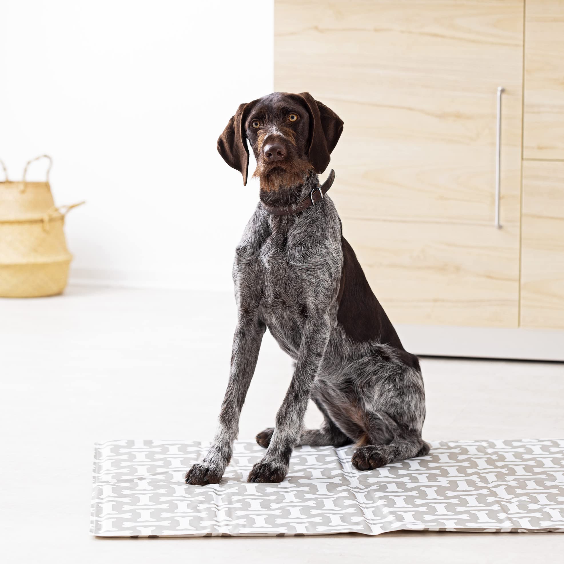 navaris-k-hlmatte-hund-katze-81x96-cm-selbstk-hlend-xl-gel image 2