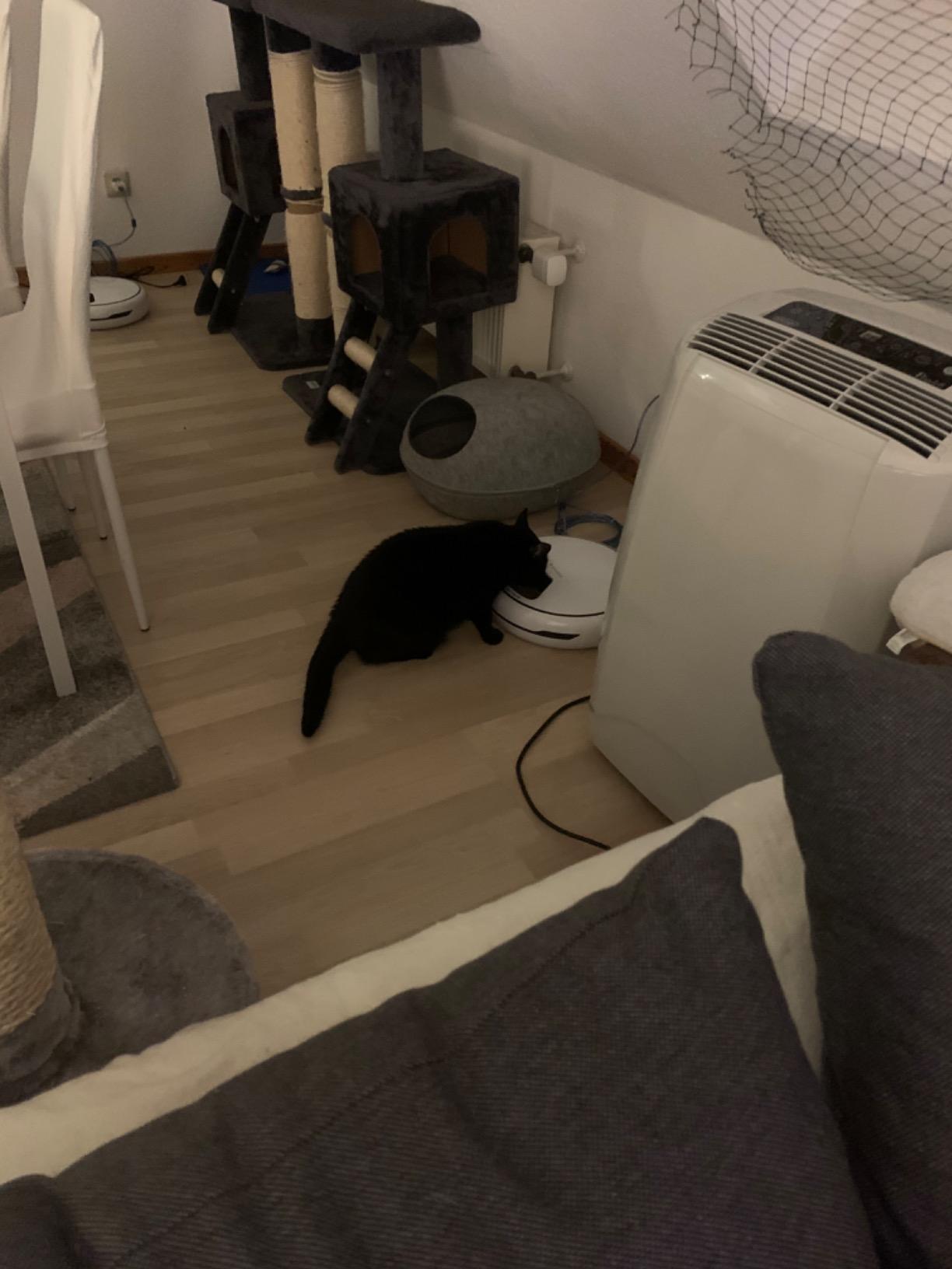 Super für Urlaub